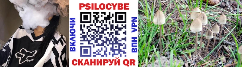 Галлюциногенные грибы GOLDEN TEACHER  как найти закладки  Тарко-Сале 